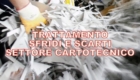 Trattamento sfridi e scarti settore cartotecnico legatoria stampa
